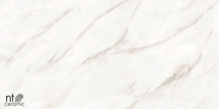 Керамогранит NT Ceramic Marmo Empire Pearl Endless Glossy арт. NTT99525P (60x120) полированная
